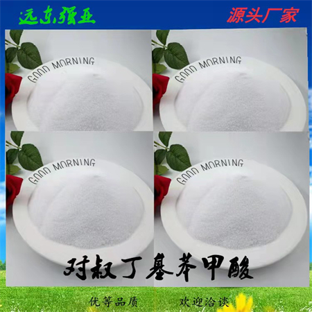 对叔丁基苯甲酸